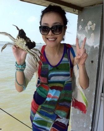 螃蟹明星,揭秘海洋中的璀璨明珠