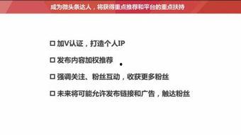 头条哪些文章算流量高,哪些内容最受关注