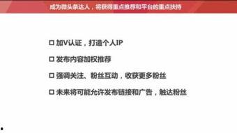 做头条自媒体的心得,揭秘成功运营心得与技巧