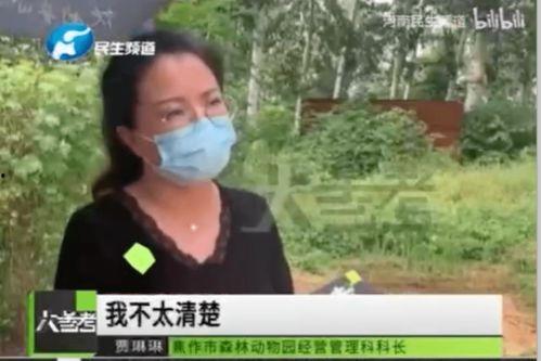 脚链明星,闪耀时尚界的璀璨明珠