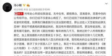 明星纳税案例,案例分析揭示税务合规之道